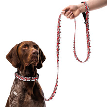 Load image into Gallery viewer, S.O.A.C Pet collar &amp; leash