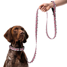 Load image into Gallery viewer, S.O.A.C Pet collar &amp; leash
