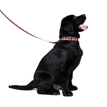 Load image into Gallery viewer, S.O.A.C Pet collar &amp; leash