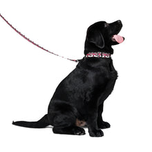 Load image into Gallery viewer, S.O.A.C Pet collar &amp; leash
